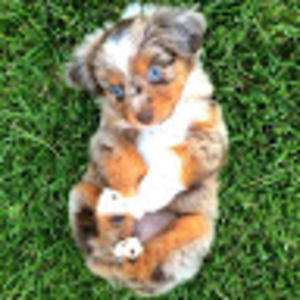 Meet your Posher, Lillian